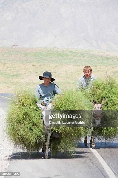 donkeys carriying boys and loads in tajikistan - ass boy stock pictures, royalty-free photos & images