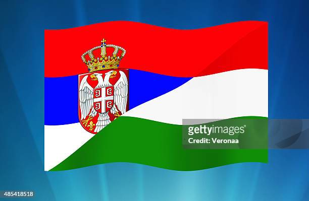 serbian and hungarian flag - serbian flag stock illustrations
