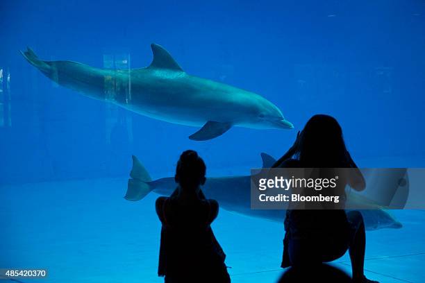 Visitors take photographs of dolphins as they swim by at the National Aquarium in Baltimore, Maryland, U.S., on Wednesday, Aug. 26, 2015. Home...