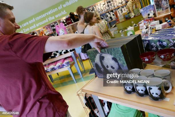 Man looks at panda merchandise inside a gift shop at the National Zoo on August 27, 2015 in Washington, DC. One of the two giant panda twins born at...