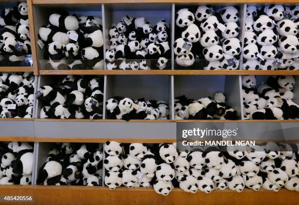 Panda merchandise is seen inside a gift shop at the National Zoo on August 27, 2015 in Washington, DC. One of the two giant panda twins born at...