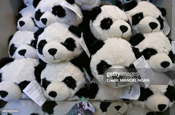 Panda merchandise is seen inside a gift shop at the National Zoo on August 27, 2015 in Washington, DC. One of the two giant panda twins born at...