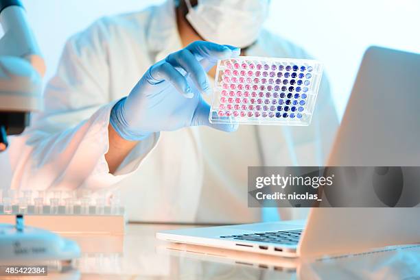 scientific research - microplate stock pictures, royalty-free photos & images