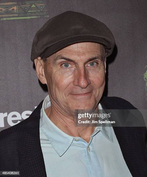 Singer/songwriter James Taylor attends the 25th Anniversary Rainforest Fund Benefit at Mandarin Oriental Hotel on April 17, 2014 in New York City.