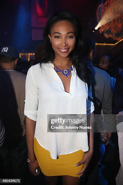 Nana Meriweather attends the VDKA 6100 launch at Marquee on April 17, 2014 in New York City.