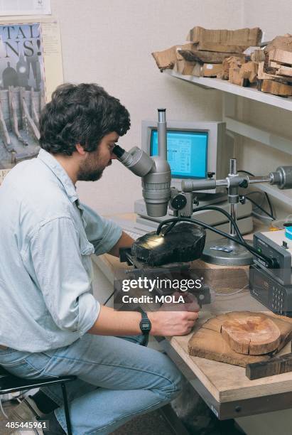 Tree Ring Lab 5,152 Tree Ring Stock Photos, High-Res Pictures, and Images - Getty Images