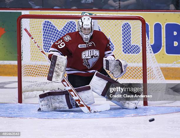 Justin Nichols of the Guelph Storm gets set to face an incoming shot against the Erie Otters in Game One of the OHL Western Conference Final at the...