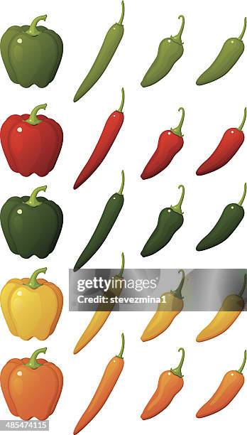 bildbanksillustrationer, clip art samt tecknat material och ikoner med pepper assortment - chili