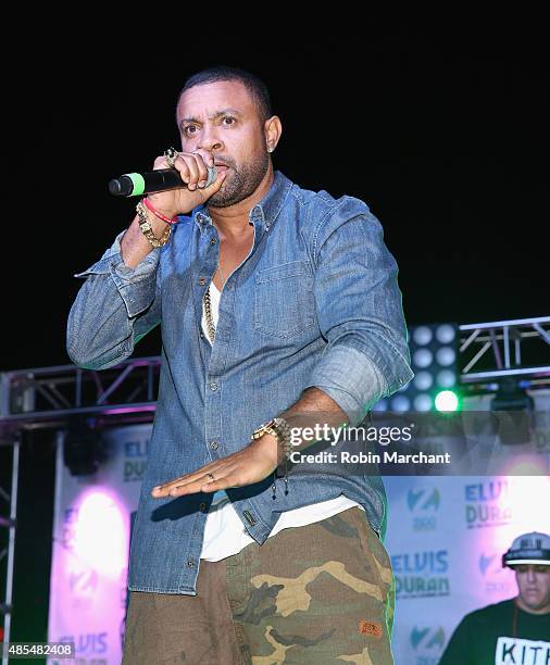 Shaggy performs at the Elvis Duran And The Morning Show End Of Summer Bash 2015 at Hornblower Cruise Pier 15 on August 27, 2015 in New York City.