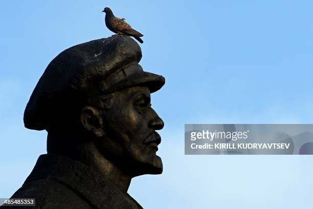 Pigeon rests at the top of a statue and monument dedicated to Soviet leader Vladimir Lenin, in the eastern Ukrainian city of Slavyansk on April 18,...