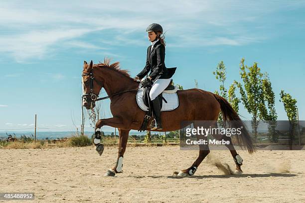 galloping horse - dressage stock pictures, royalty-free photos & images