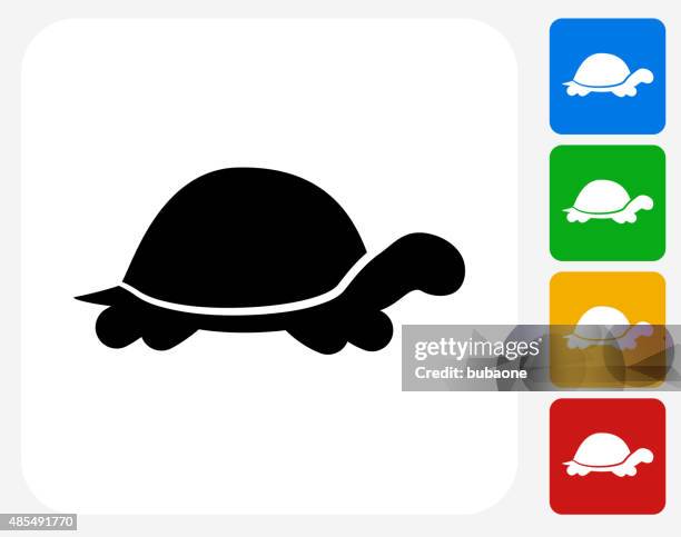turtle icon flat graphic design - turtle stock illustrations