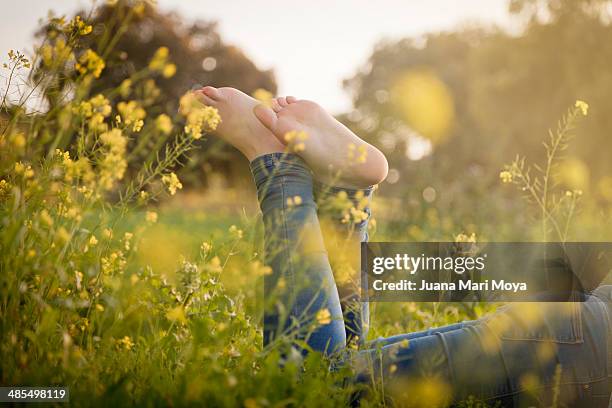 Perfect Spring Day High-Res Stock Photo - Getty Images