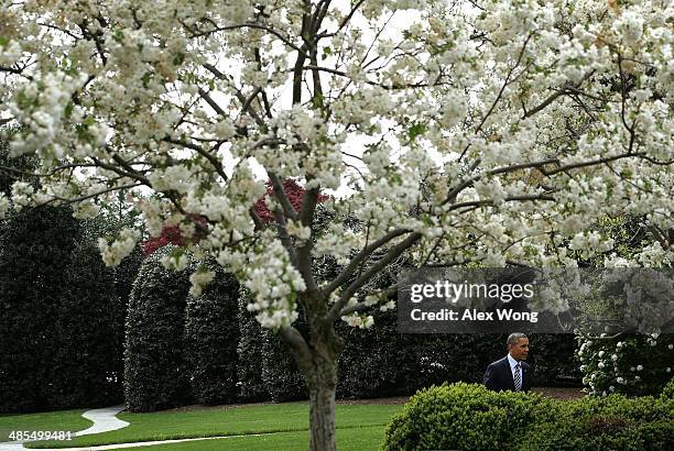 President Barack Obama approaches the Rose Garden to host the United States Naval Academy football team during a presentation ceremony of the...