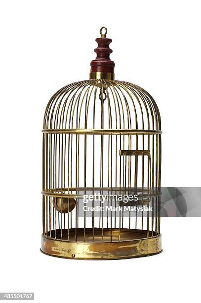 bird cage - vogelkäfig stock-fotos und bilder