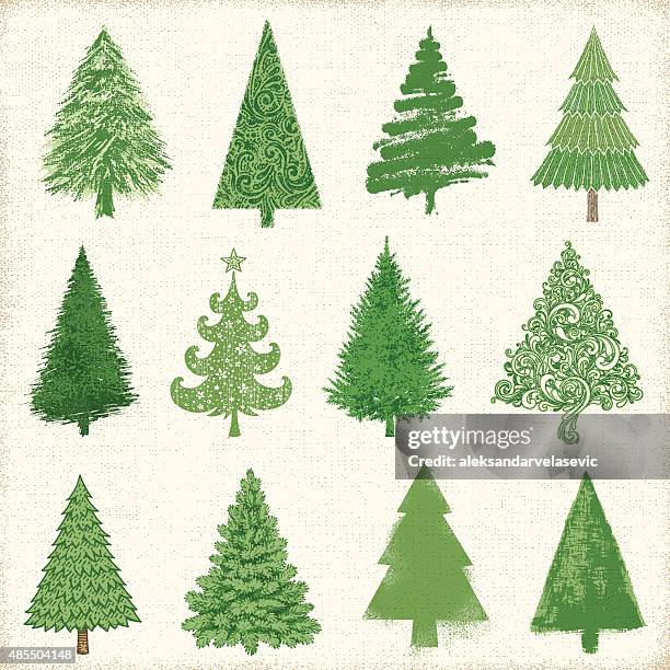 christmas tree drawings - pine tree vector stock illustrations