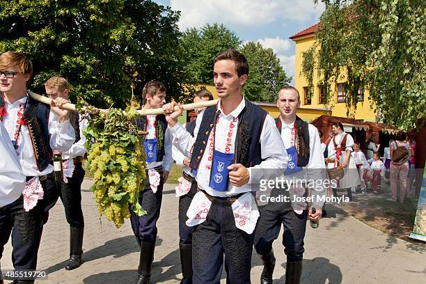 procession on the feast of wine - czech republic wine stock pictures, royalty-free photos & images