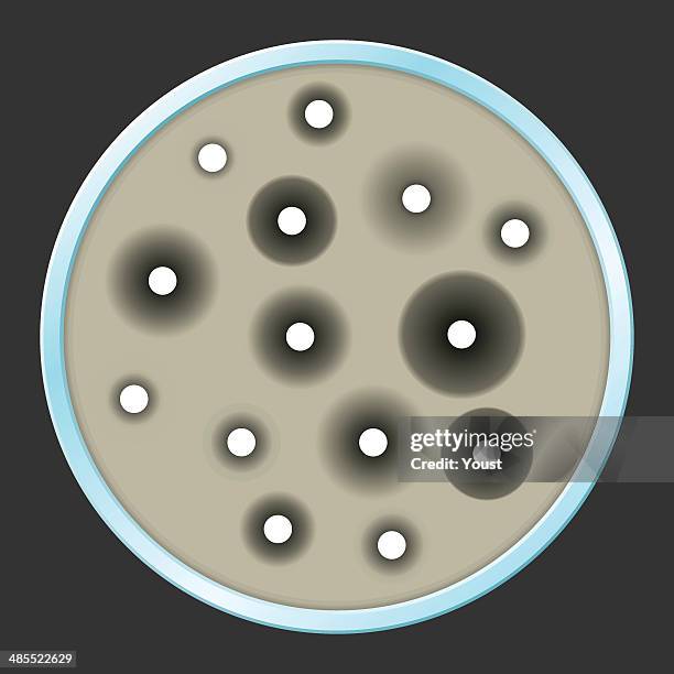 petri dish with antibiotic sensitivity testing - mrsa stock illustrations