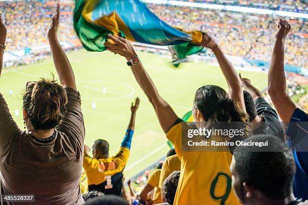 brazilian fan celebrating goal. - crowd of brazilian fans stockfoto's en -beelden