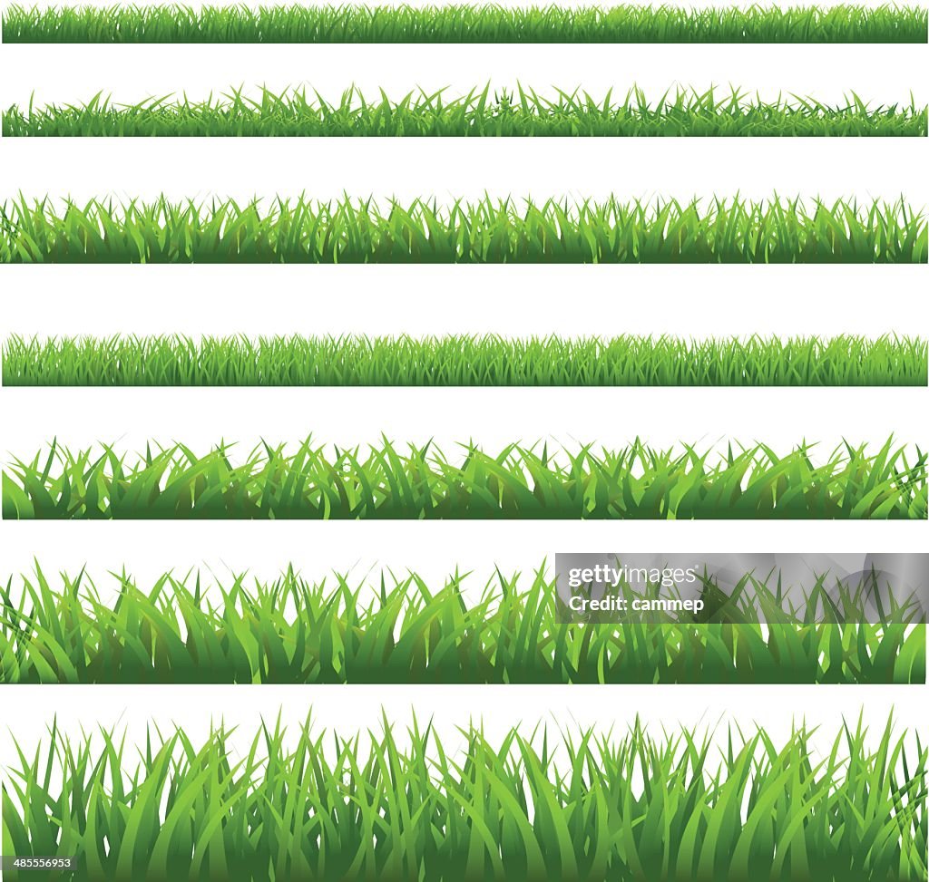Graphi Grass Green Grass Set High-Res Vector Graphic - Getty Images