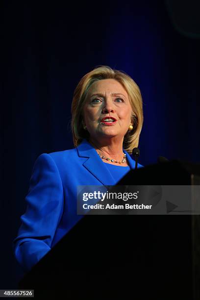 Democratic Presidential candidate Hillary Clinton speaks at the Democratic National Committee summer meeting on August 28, 2015 in Minneapolis,...
