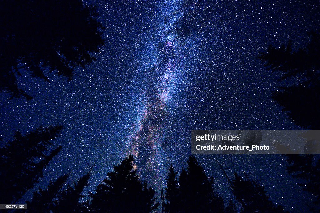 空や森林の夜に銀河系 Galaxy