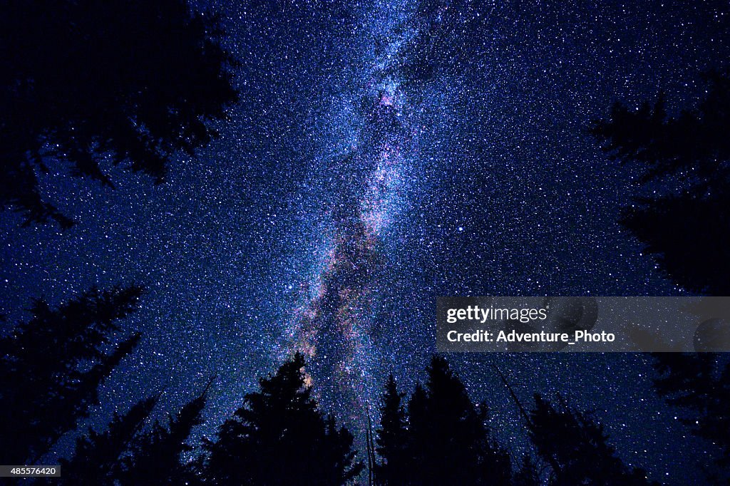 Sky and Mountain Forest at Night with Milky Way Galaxy