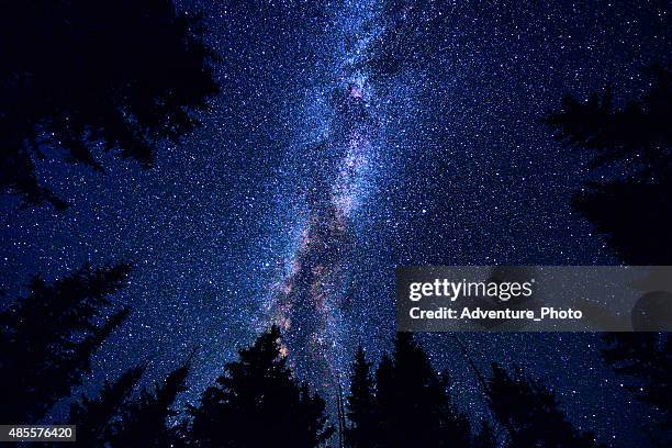 sky and mountain forest at night with milky way galaxy - stary night stock pictures, royalty-free photos & images