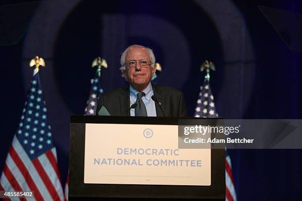 Democratic Presidential candidate Bernie Sanders speaks at the Democratic National Committee summer meeting on August 28, 2015 in Minneapolis,...
