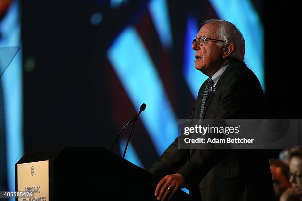 Democratic Presidential candidate U.S. Sen. Bernie Sanders speaks at the Democratic National Committee summer meeting on August 28, 2015 in...