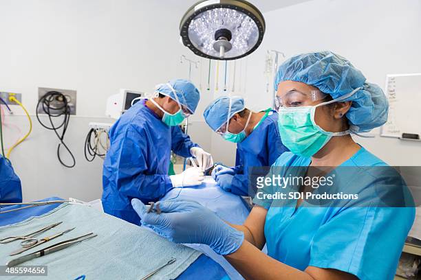 surgical nurse or technician is prepping instruments for hospital procedure - surgery bildbanksfoton och bilder