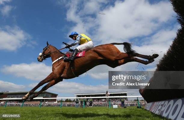 Witness In Court ridden by Noel Fehily clears the last fence on their way to winning the Marie Turner Easter Bonnet Memorial Novices' Limited...