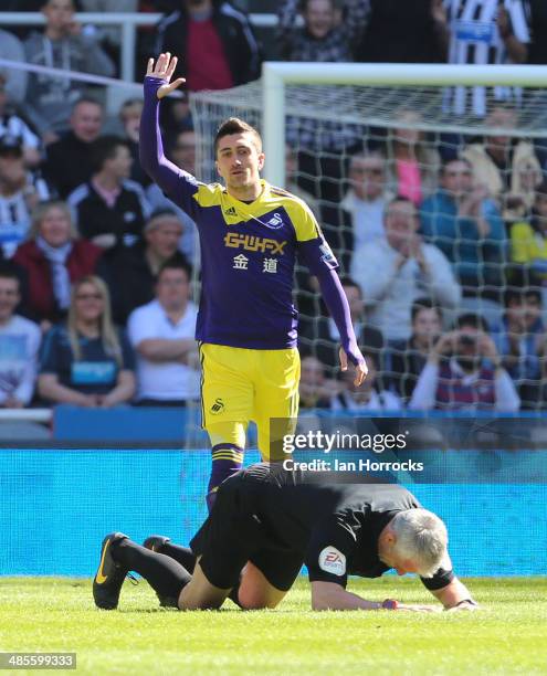 Pablo Hernandez of Swansea City asks for help for referee Chris Foy after the official was hit in the face by the ball during the Barclays Premier...