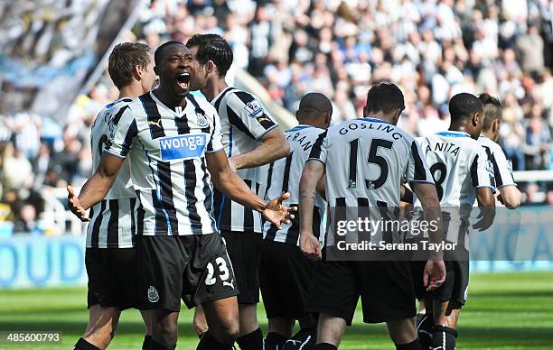 Shola Ameobi celebrates after scoring the opening goal during the Barclays Premier League match between Newcastle United and Swansea City at St....