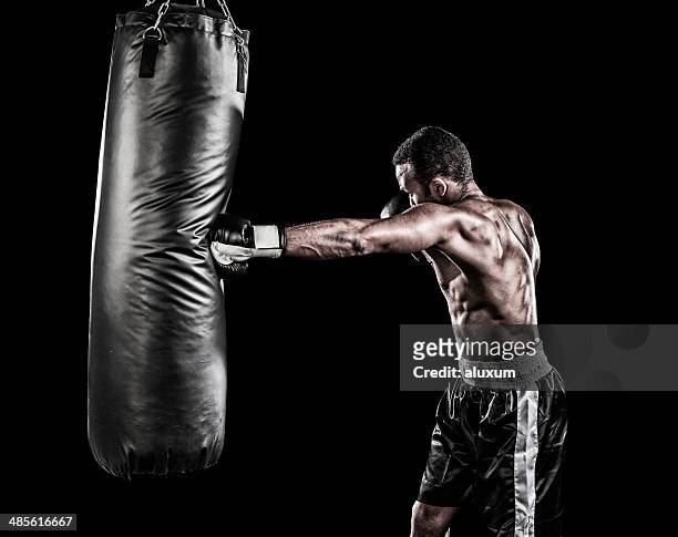 boxer training - boxing stock pictures, royalty-free photos & images