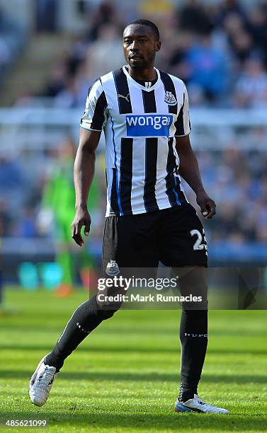 Shola Ameobi of Newcastle United in action during the Barclays Premier League match between Newcastle United and Swansea City at St James Park on...