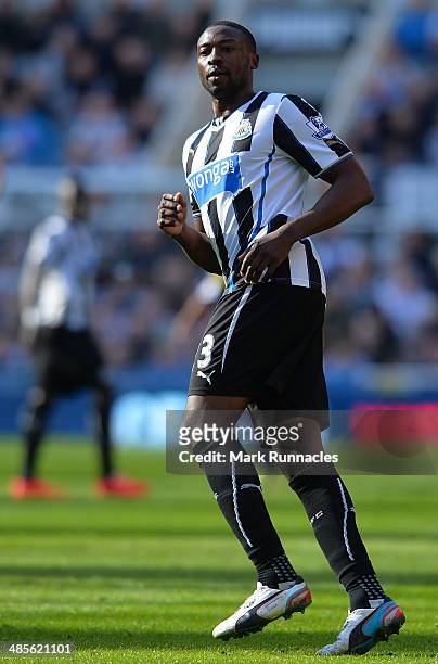 Shola Ameobi of Newcastle United in action during the Barclays Premier League match between Newcastle United and Swansea City at St James Park on...