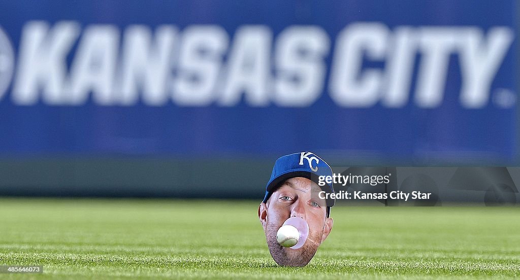 MLB: Twins v Royals