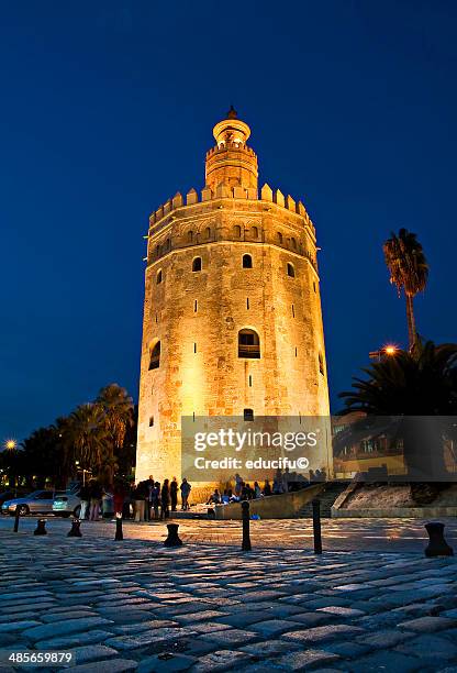 torre del oro in sevilla - torre del oro stock pictures, royalty-free photos & images