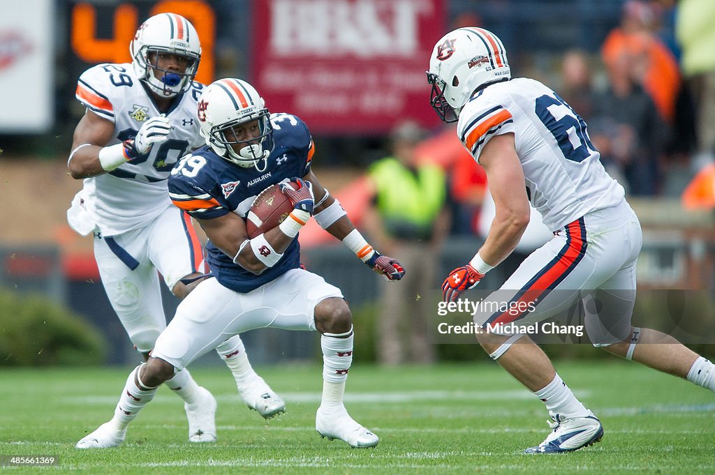 Auburn Spring Game