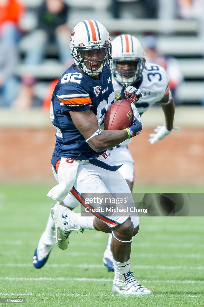 Auburn Spring Game