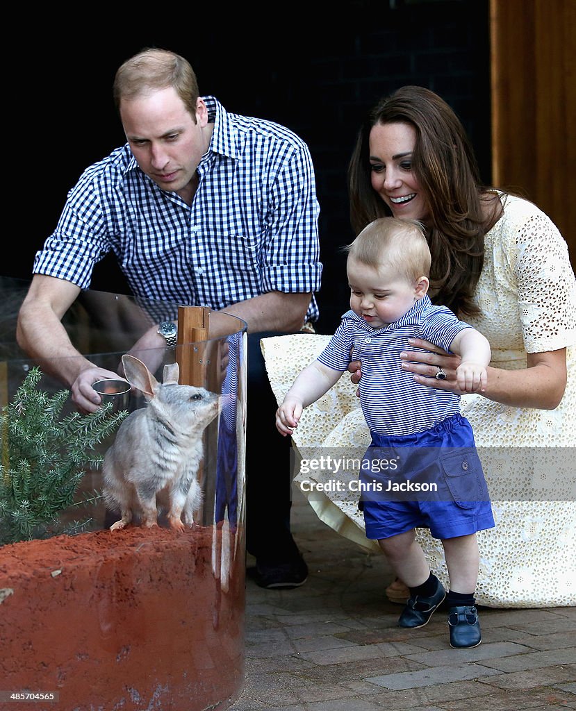 The Duke And Duchess Of Cambridge Tour Australia And New Zealand - Day 14