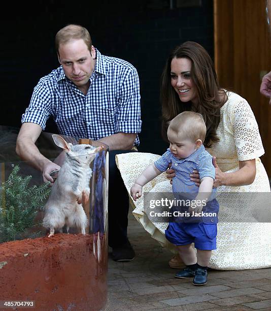 Catherine, Duchess of Cambridge holds Prince George of Cambridge as Prince William, Duke of Cambridge look whilst meeting a Bilby called George at...