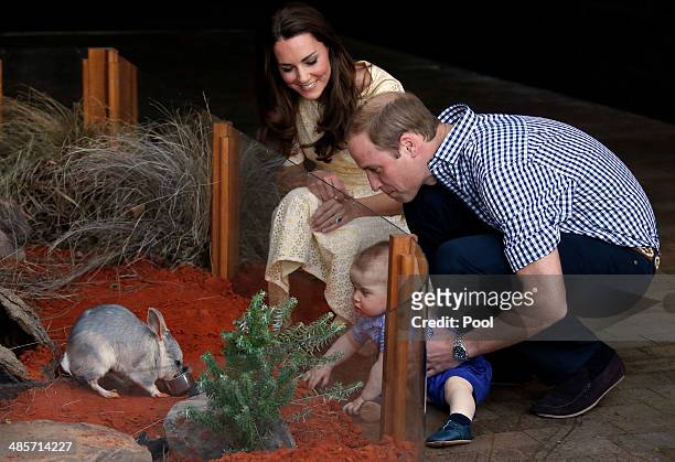 Catherine, Duchess of Cambridge and Prince William, Duke of Cambridge watch their son Prince George of Cambridge look at an Australian animal called...