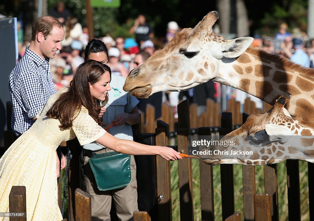 The Duke And Duchess Of Cambridge Tour Australia And New Zealand - Day 14