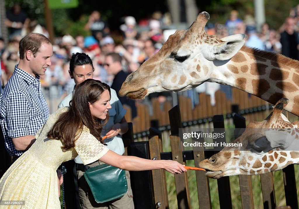 The Duke And Duchess Of Cambridge Tour Australia And New Zealand - Day 14