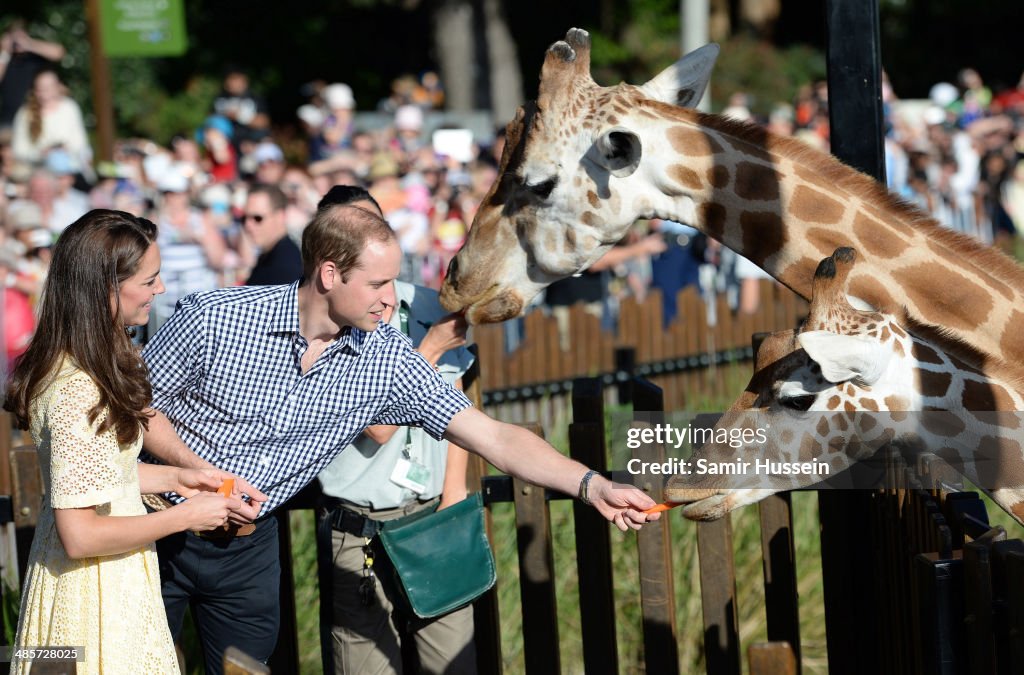 The Duke And Duchess Of Cambridge Tour Australia And New Zealand - Day 14