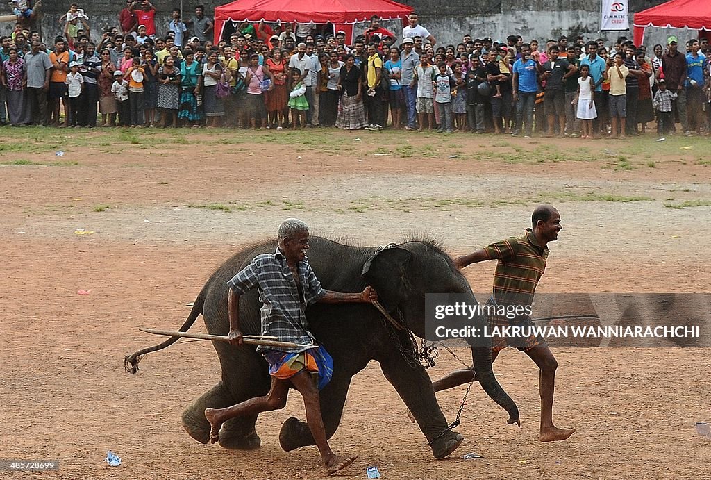 SRI LANKA-FESTIVAL-NEW YEAR