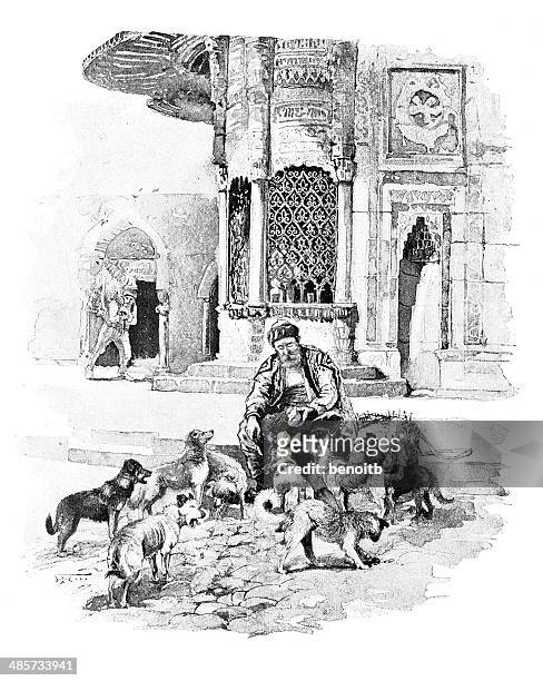 feeding the street dogs - dog eating stock illustrations