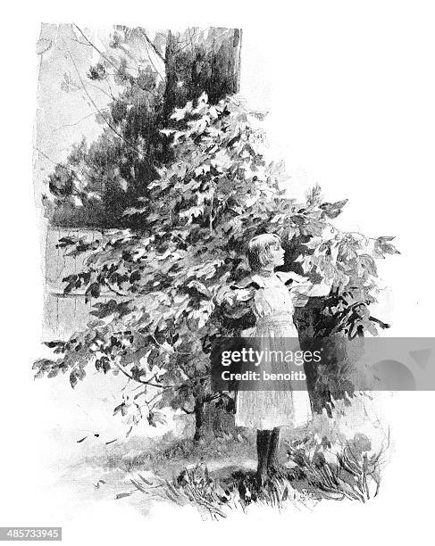 girl by the fig tree - fig tree stock illustrations